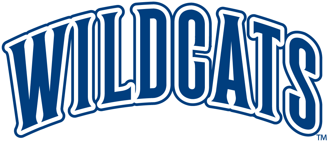 Villanova Wildcats 1996-Pres Wordmark Logo iron on transfers for fabric